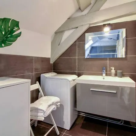 La Mansarde : Cosy Et Charme Au Centre Historique Apartment Dijon