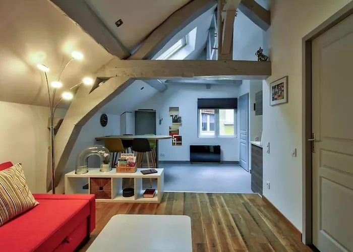 Διαμέρισμα La Mansarde : Cosy Et Charme Au Centre Historique Ντιζόν